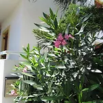 Michael