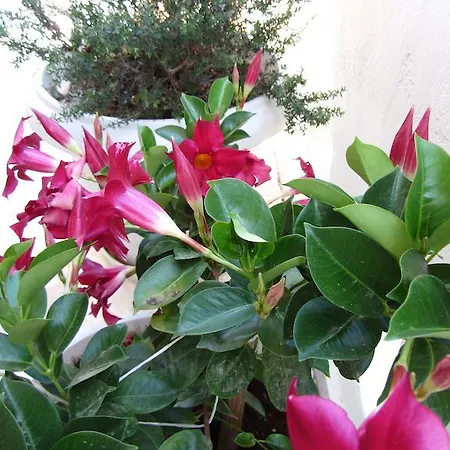 Michael * Rethymno (Crete)